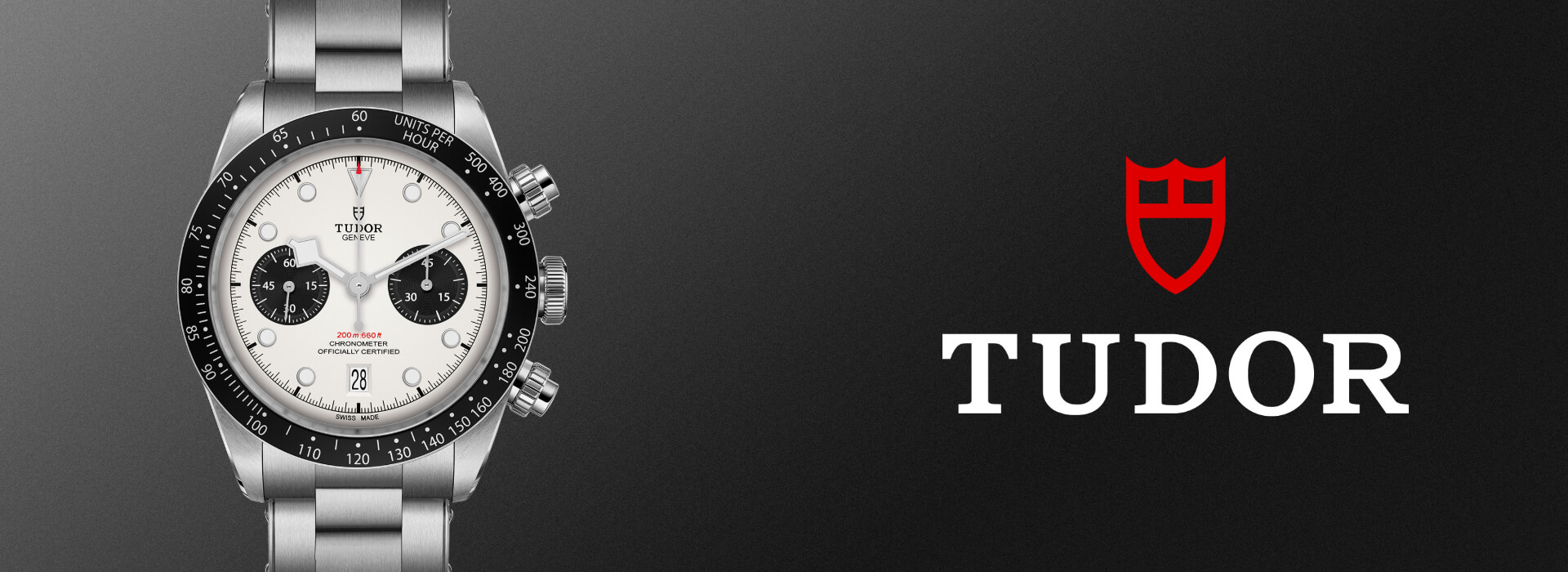 Tudor-banner