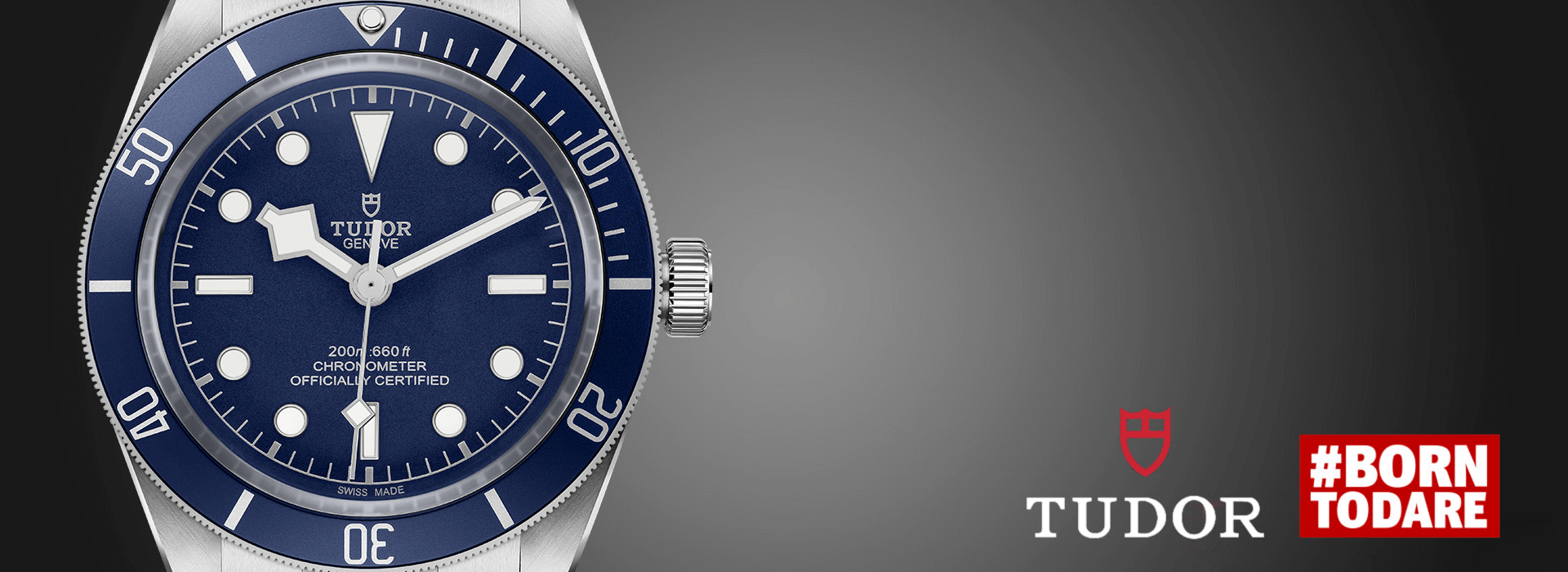 tudor slider